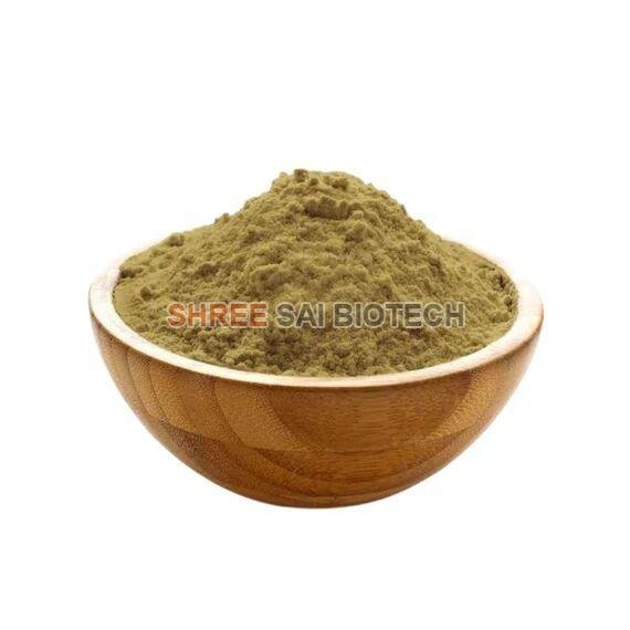 Coleus Forskohlii Root Extract Powder