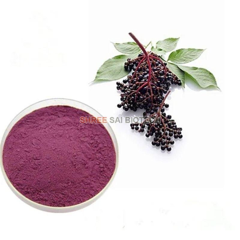 Elderberry Extract Powder