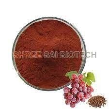 Grape Seed Extract Powder