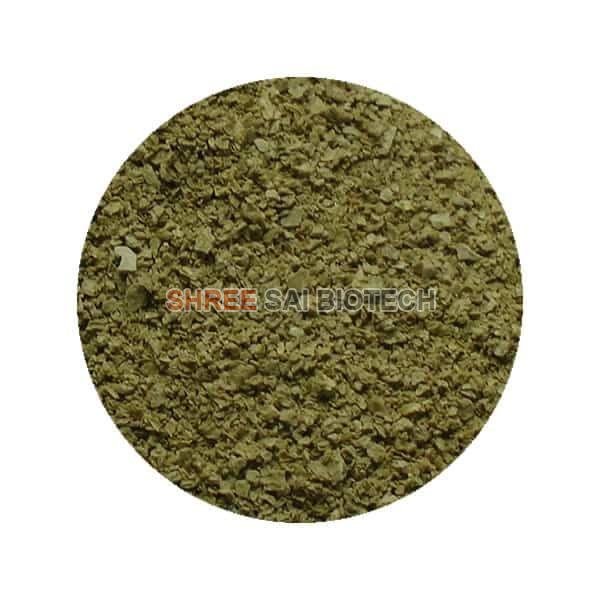 Greenlip Mussel Extract Powder