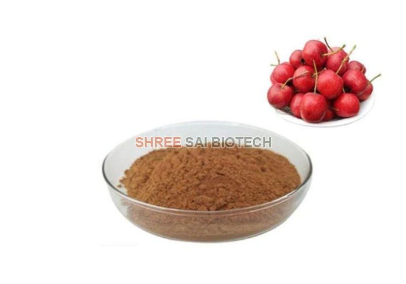 Hawthorn Berry Extract Powder