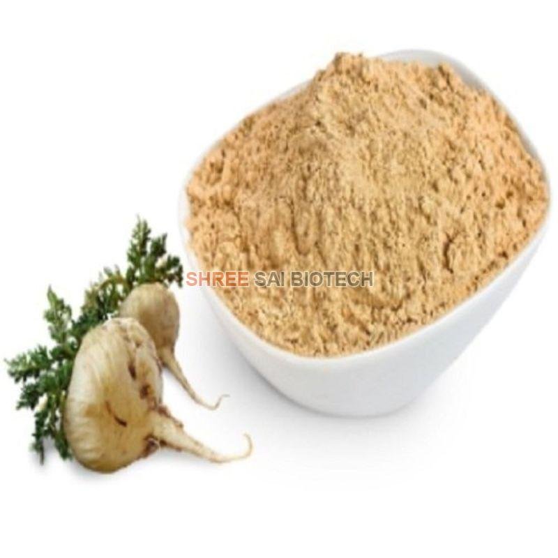 Maca Root Extract Powder