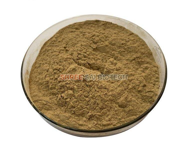Natural Yucca Root Extract Powder