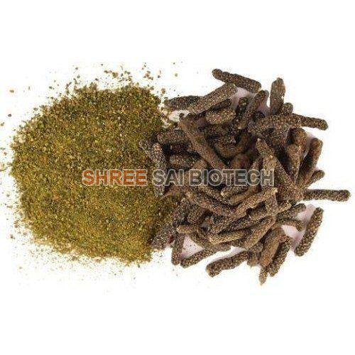 piper longum extract powder