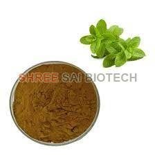 Peppermint Extract Powder