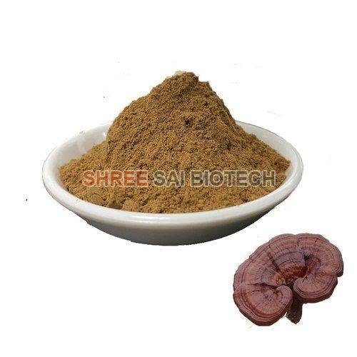 Reishi Mushroom Extract Powder