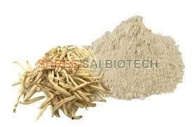 Safed Musli Extract Powder