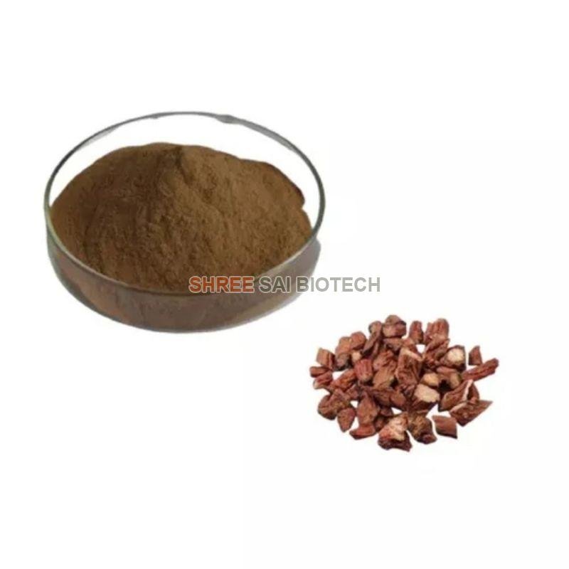 Salvia Plant Extract Powder