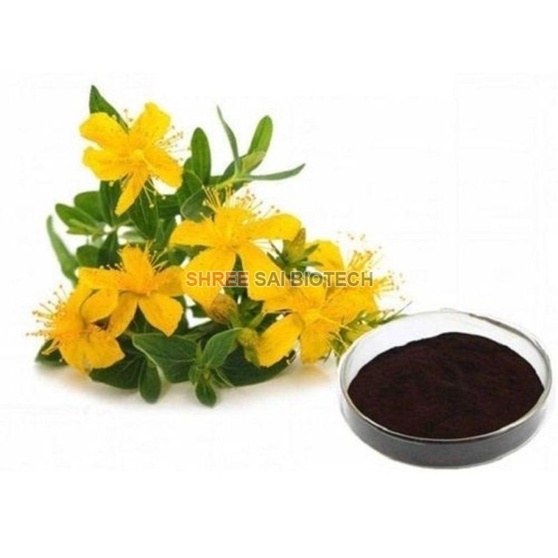 St John Wort Plant Extract Powder