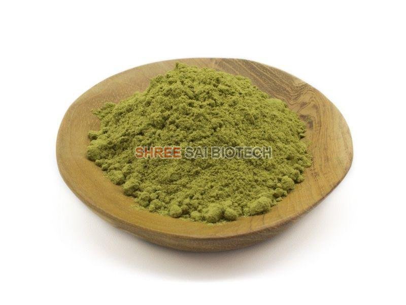 Yerba Mate Leaf Extract Powder