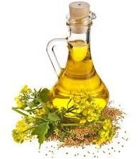 Organic Mustard Oil