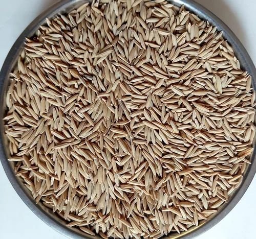 Brown Hybrid Paddy Seeds