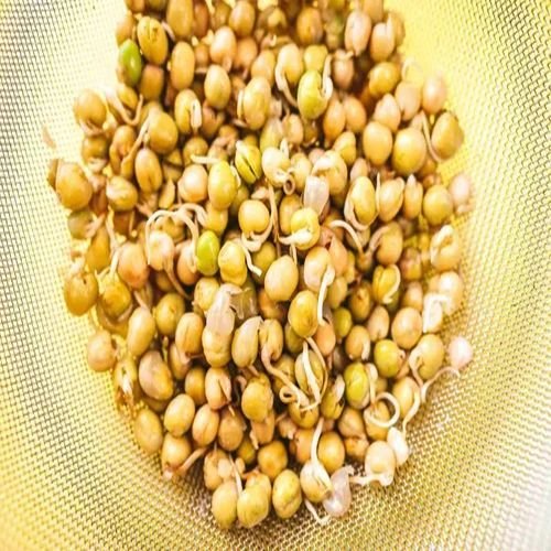 Dry White Pea Sprout