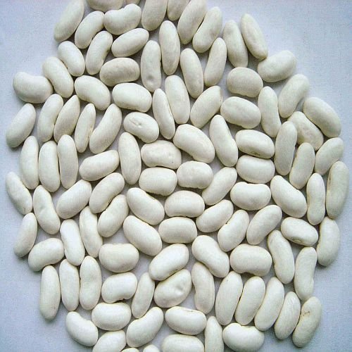 White Navy Beans