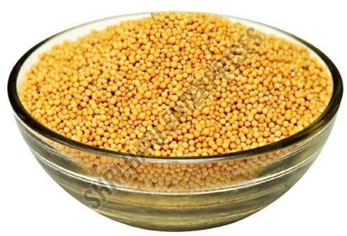 mustard seeds