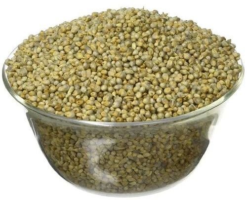 Hybrid Bajra Seeds
