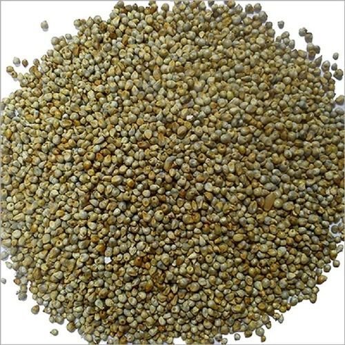 Natural Bajra Seeds
