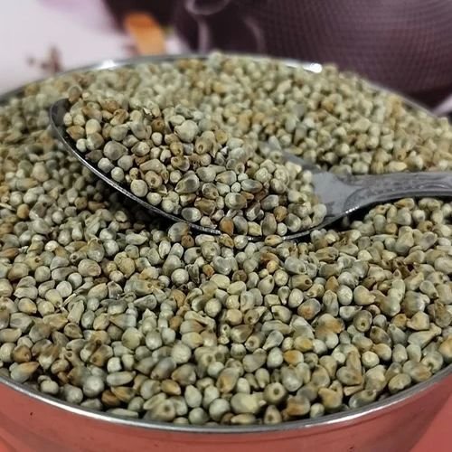 Organic Bajra Seeds