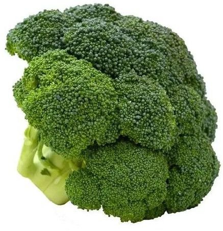 Fresh Broccoli