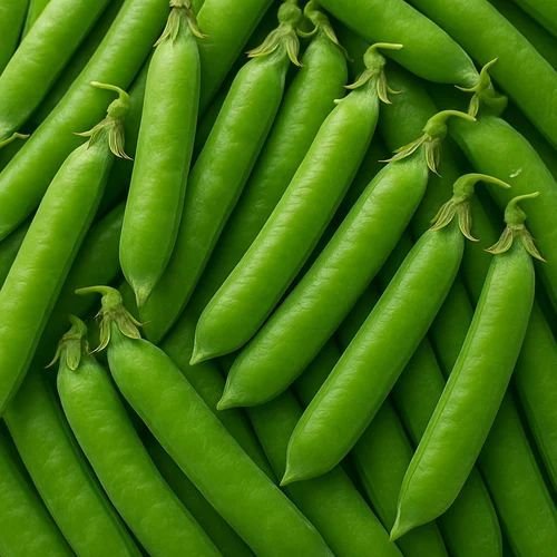 Fresh Green Peas