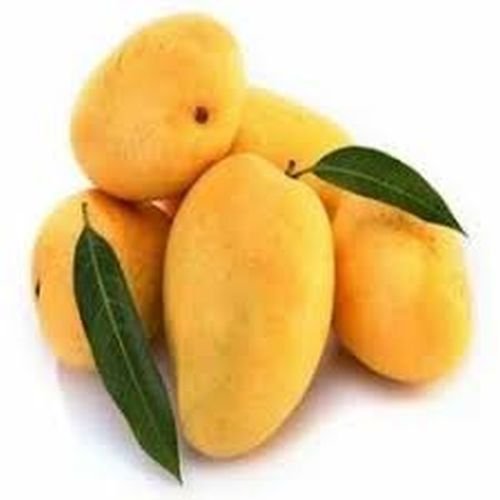 Fresh Mango