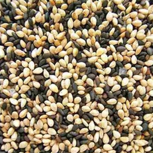 Sesame Seeds
