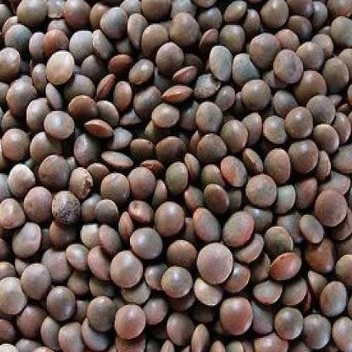 Whole Masoor Dal