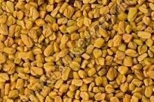 Fenugreek Seed