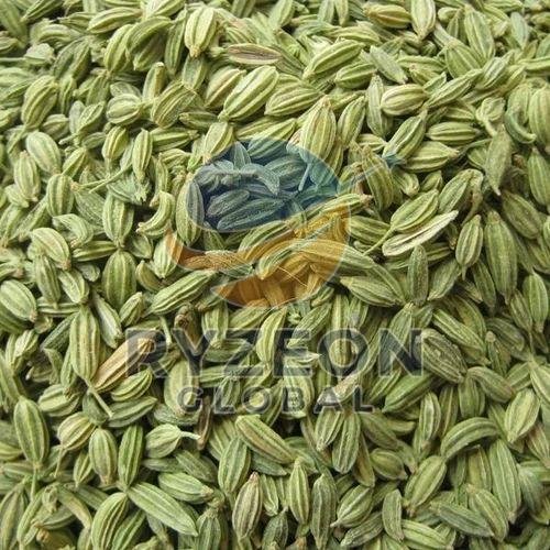 Fennel Seeds