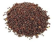 Brown Mustard Seeds