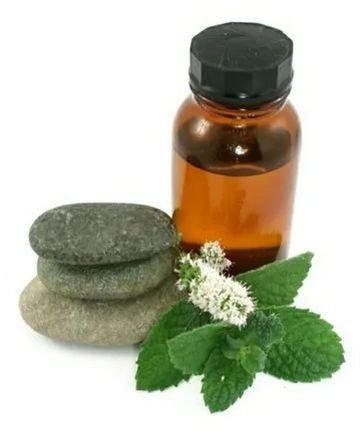 Aromatic Peppermint Oil