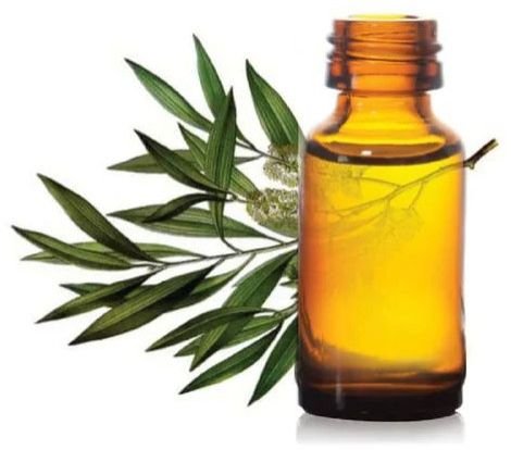 Cajuput Essential Oil