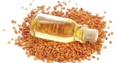 Fenugreek Seed Oil
