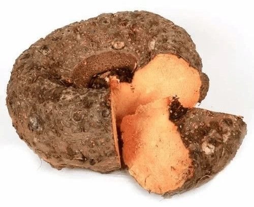 Elephant Foot Yam Suran