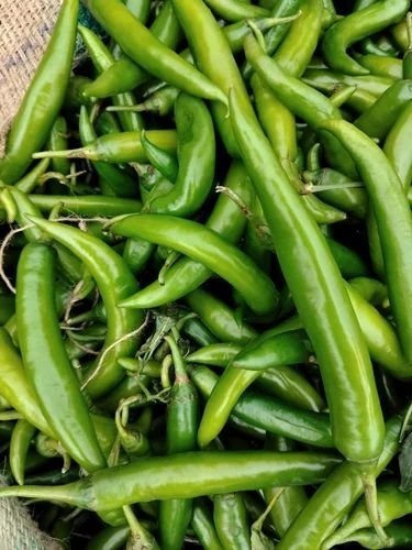 Fresh G4 Green Chilli