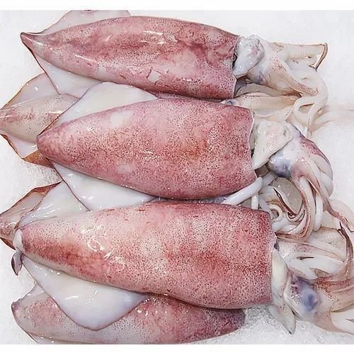 Frozen Cleaned Squid Seafood