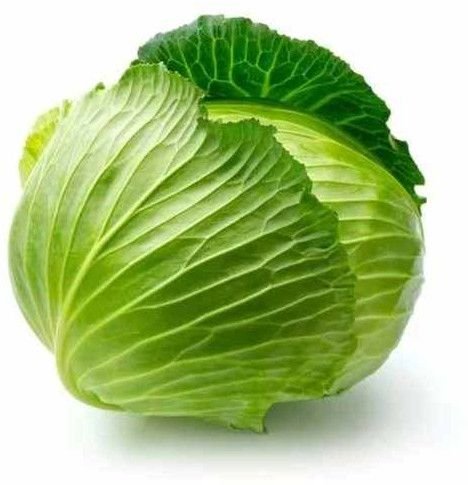 Fresh Cabbage