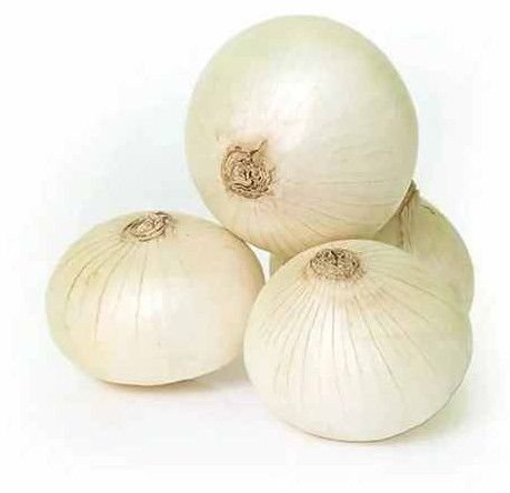 Fresh White Onion