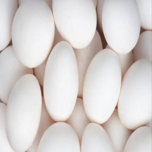 Fresh Eggs