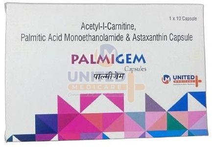 Acetyl L Carnitine Palmitic Acid Monoethanolamide and Astaxanthin Capsules
