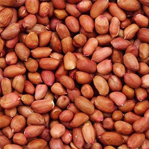 Organic Groundnut Seeds
