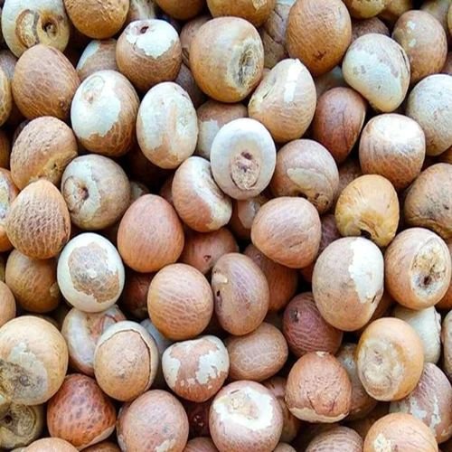 Betel Nuts