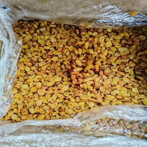 Dried Raisins