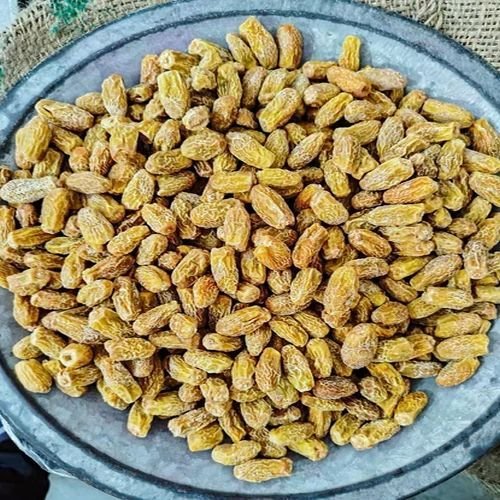 Extra Bold Dried Dates
