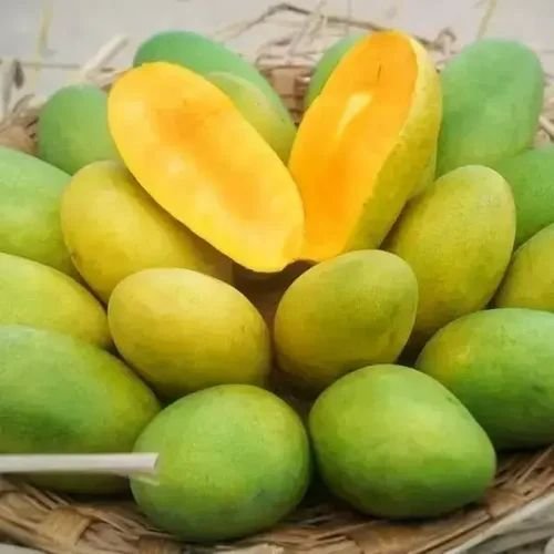 Dasheri Mango