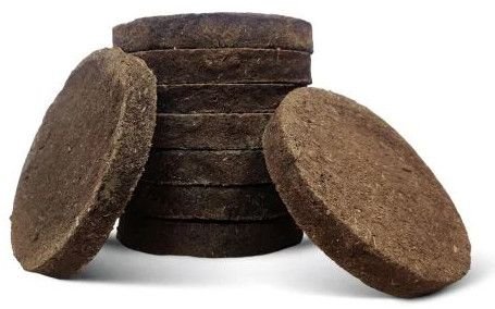 Cow Dung Cakes