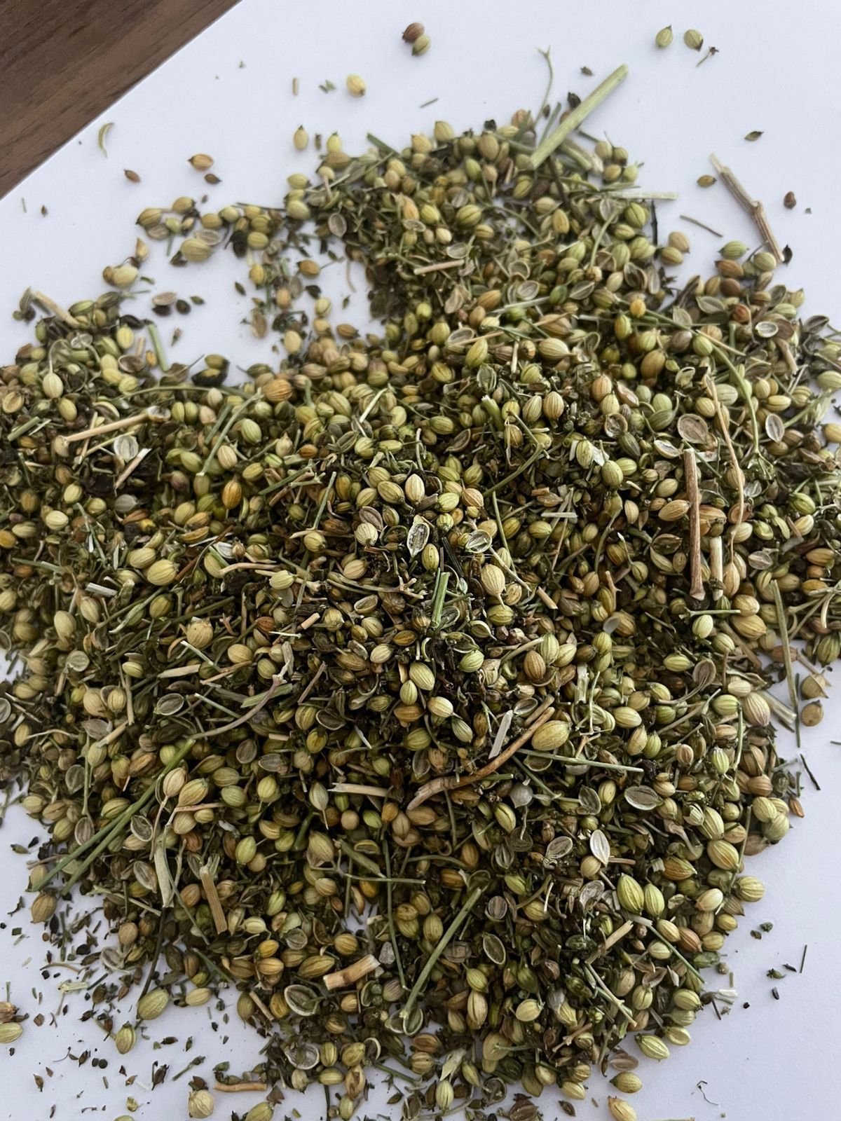 Coriander Seeds