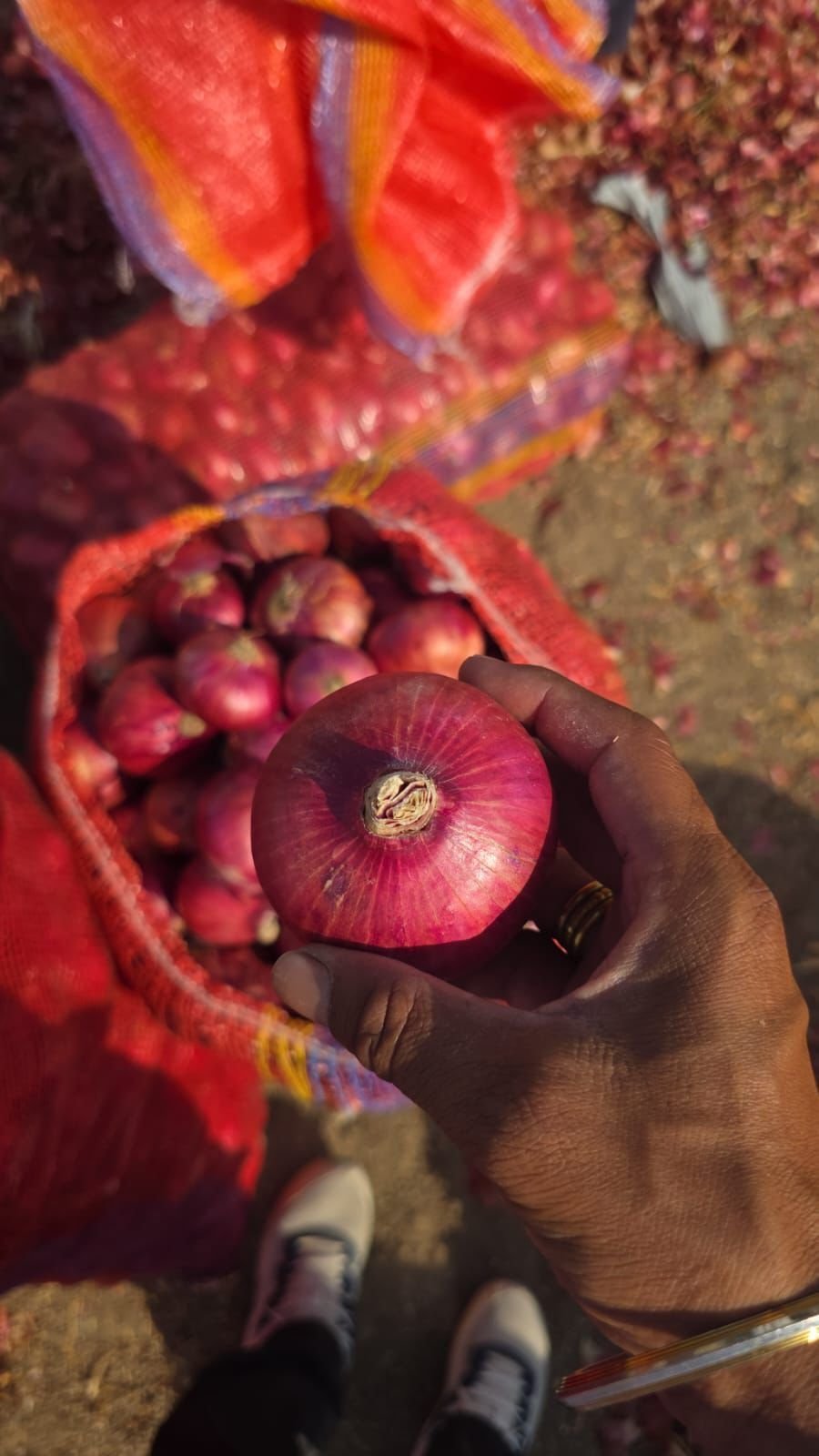 Onions