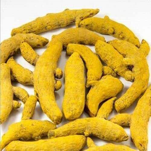 Dried Turmeric Finger