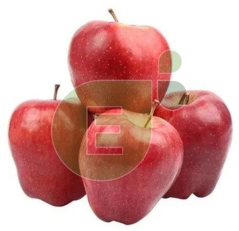 Fresh Apple